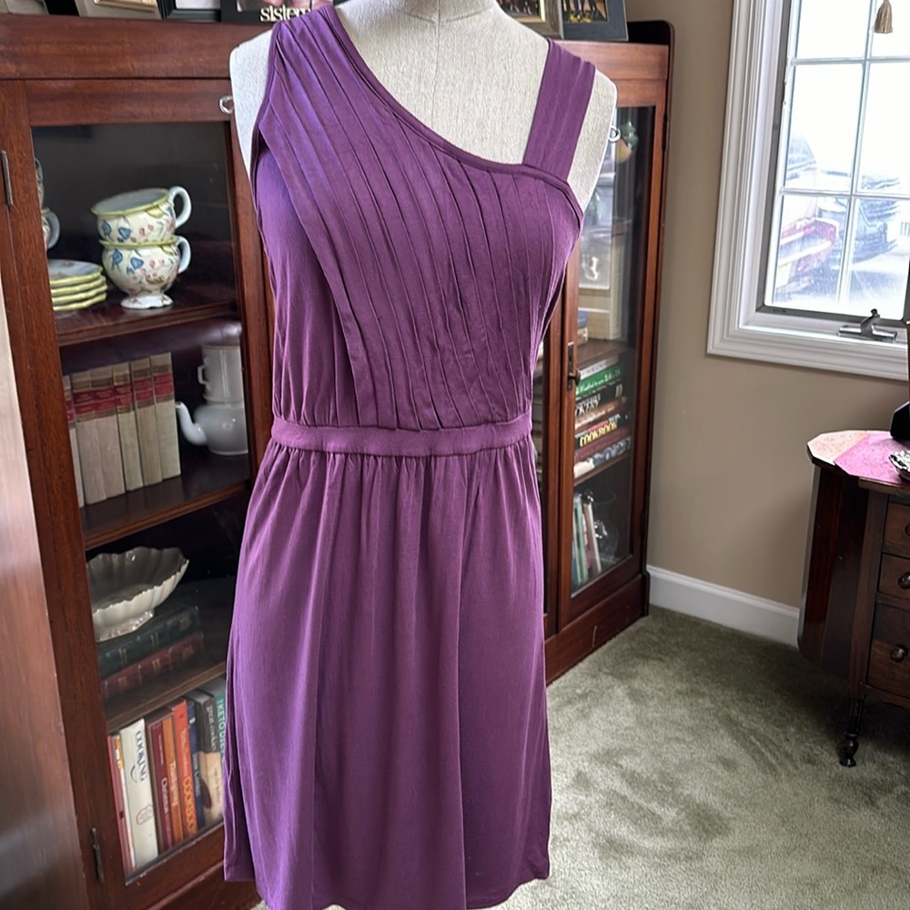 Barney’s Dress